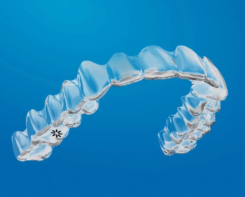 Invisalign 隱適美透明牙箍